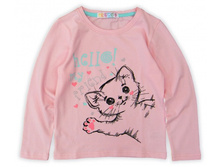 ������� ����������� �������� � ������� ������� - 395 ���