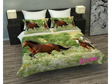 ��������� 3D "������" �����: ����������� �������: 145*220 �� ��������: �������� �����: 02572 ����: 1 200