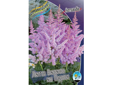 �������� ���� ������ ������.jpg