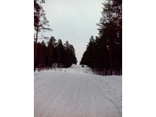 IMG 20170305 104838.jpg