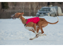 33020200012 c88193ed23 o.jpg