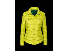 ������ ������� Merlion Lynn (���������-�.�������) 1880�.jpeg