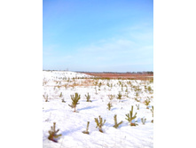 IMG 20170312 100605.jpg