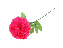 ������ ������������� "������� ����"������ ������������� "������� ����" �����; 47 ��; �������; � ����� 1200 ��. ���.: 652050 33.00���.