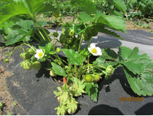 ���� ������ ����������..JPG