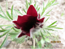 �������� �������.JPG