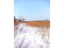 IMG 20170311 104127.jpg