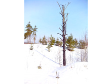 IMG 20170311 111557.jpg