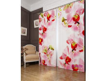 ��������� "������� �������" 2440,00 ���. �����: ����������� �������: 290x260 �� ��������: ������� �����: 03892 �������������: ������