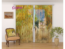 �������� "�������� �������" 2 640,00 ���. �����: ����������� �������: 290x260 �� ��������: ����� �����: 03138