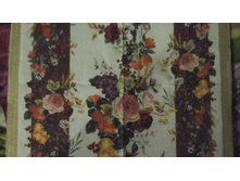 No170    ��� ��������      �   5 �