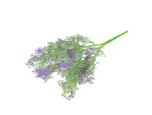 ����� "����������" ��������� "����������" ���� �����; 30 ��; �������; � ����� 600 ��. ���.: 1208861 67.27���.