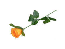 ������ ������������� "������ ���� � ����������"������ ������������� "������ ���� � ����������" �����; 5 �� × 5 �� × 63 ��; �������, ��������; � ����� 1200 ��. ���.: 482694 24.15 ���