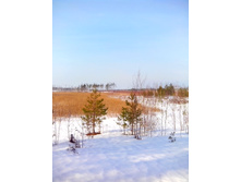 IMG 20170311 104350.jpg