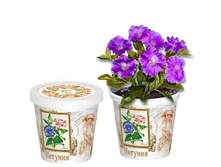 �������  80 ���..jpg