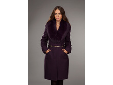 6500� ����������� ���