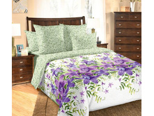 ��� ������� 2.0 ��. ����  "������������ 1" 1 502,00 ���.