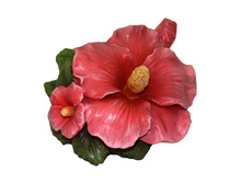 ����� �� ����� ������ �-15��.jpeg