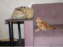 ���� � �������� 018.jpg