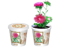 �����  80 ���..jpg