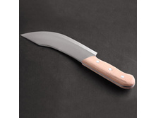 �������� ���