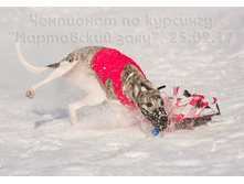 32991300122 60f637675d o.jpg