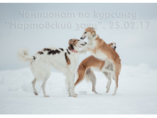 32361389283 13706026f1 o.jpg