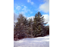 IMG 20170325 111931.jpg