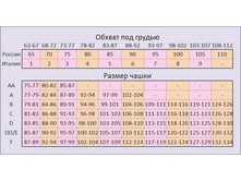 170869746-razmernaya setka prima vista bust.jpg