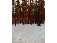 IMG 20170305 130349.jpg