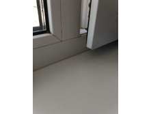 ������ ����