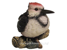 ������� ������ ����� �� ����� �-22��.jpg