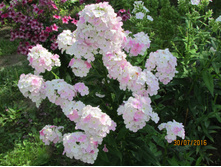 ����������� Cool Water.JPG