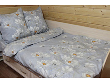 ��� ������ 2,0 �� � �������������  "��������" 1 145,00 ���.