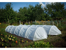 ������ ����+ 8 �-1360 �