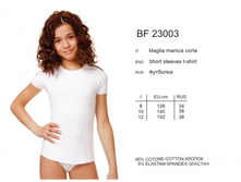 �������� IBF23003 Acacia.jpg