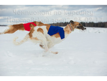 33134917066 68d1cae092 o.jpg