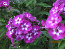 ����������� �����.JPG