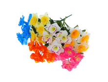 ����� "��������" ��������� "��������" ���� �����; 30 ��; �������, ��������; � ����� 800 ��. ���.: 1206460 46.00 ���.