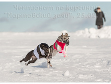 32991299062 ef11121070 o.jpg