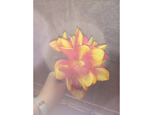 2017-03-28 10-52-18.JPG