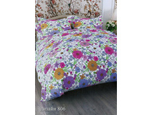 ��� 2 ��. � ������������� ���� ���� "������ 806" 988,00 ���.