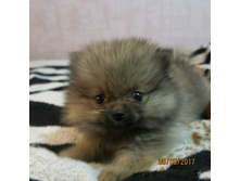 ����� 029.JPG