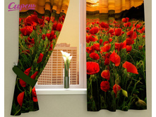 ��������� "������� �� ������" 1 970,00 ���. �����: ����������� �������: 290*160 �� ��������: �������� �����: 02161 �������������: ������