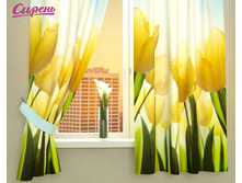 ��������� "��������" 1 970,00 ���. �����: ����������� �������: 290*160 �� ��������: �������� �����: 02971 �������������: ������