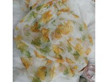 ���� ������.jpg