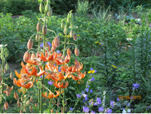 �������� ����������.JPG