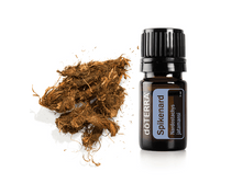 ���� Spikenard Essential Oil.png