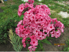 ����������� ��������� �����.JPG