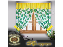 ��������� ���� ���� 481 ���